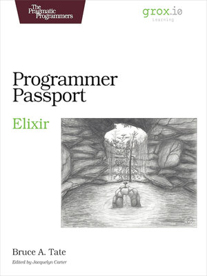 cover image of Programmer Passport